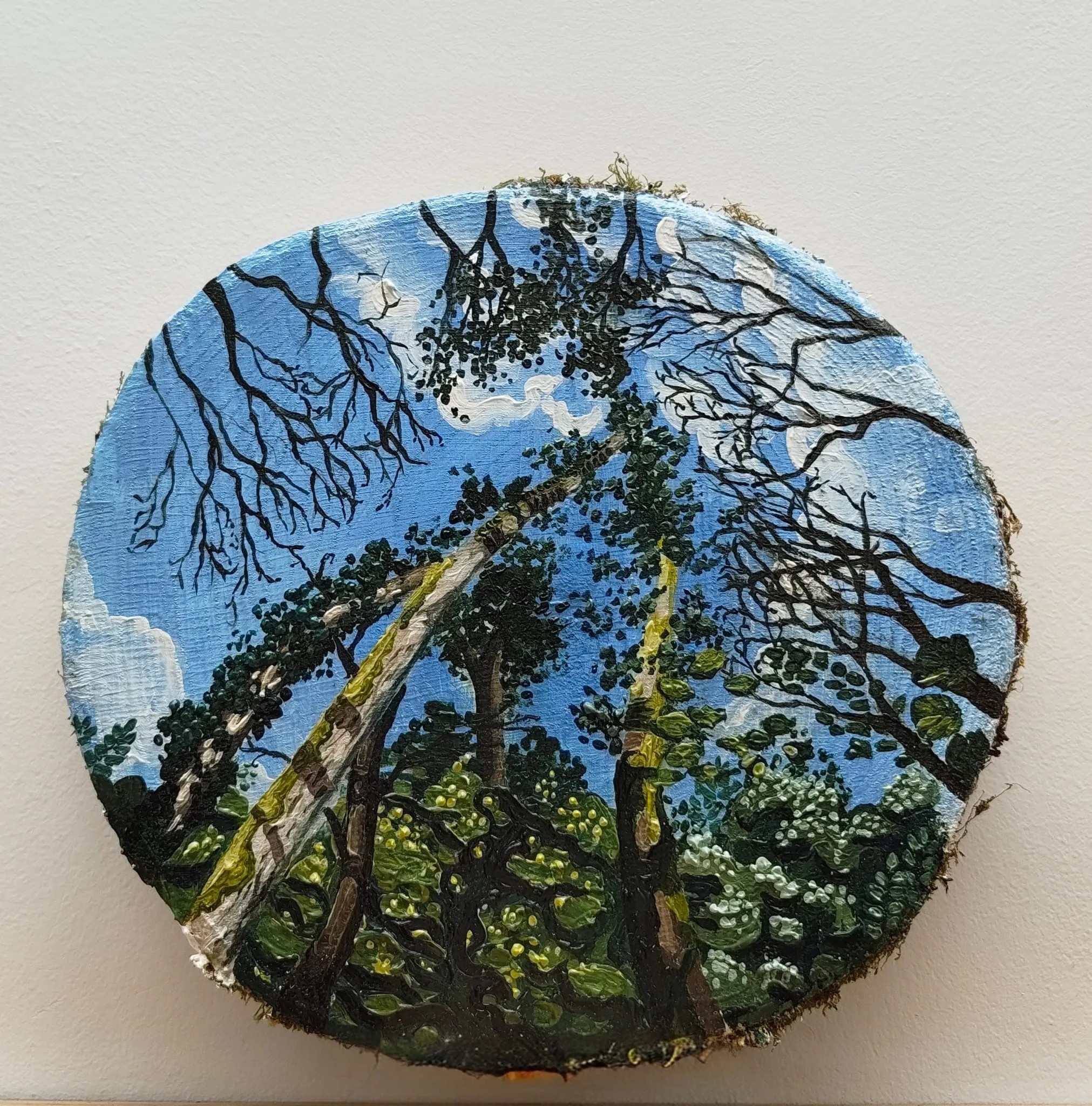 Untitled — looking up through a tree canopy, oil on wood