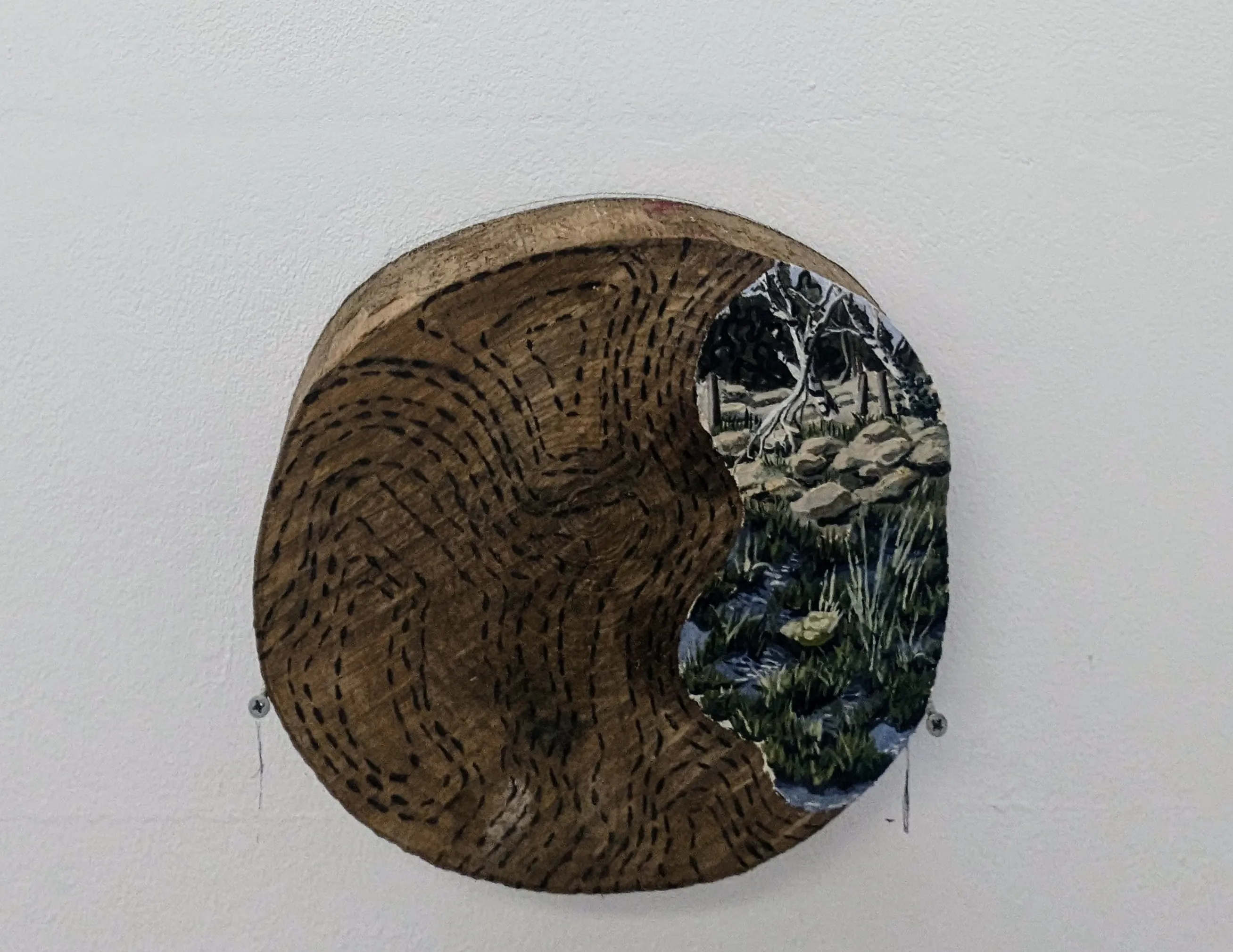 Bog Perspective with Topographs — oil and soil on wood
