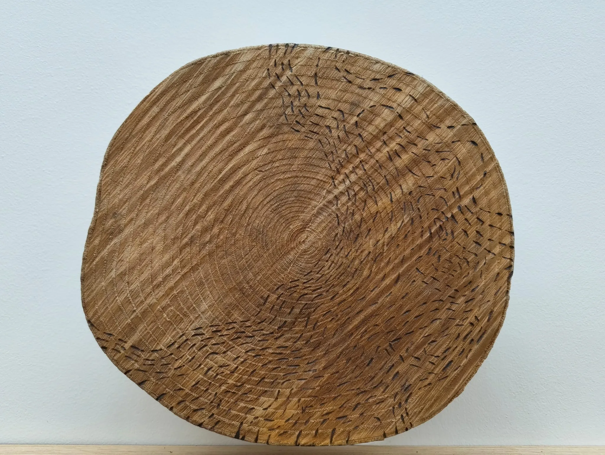 Untitled — topographic lines burnt into a wood disc