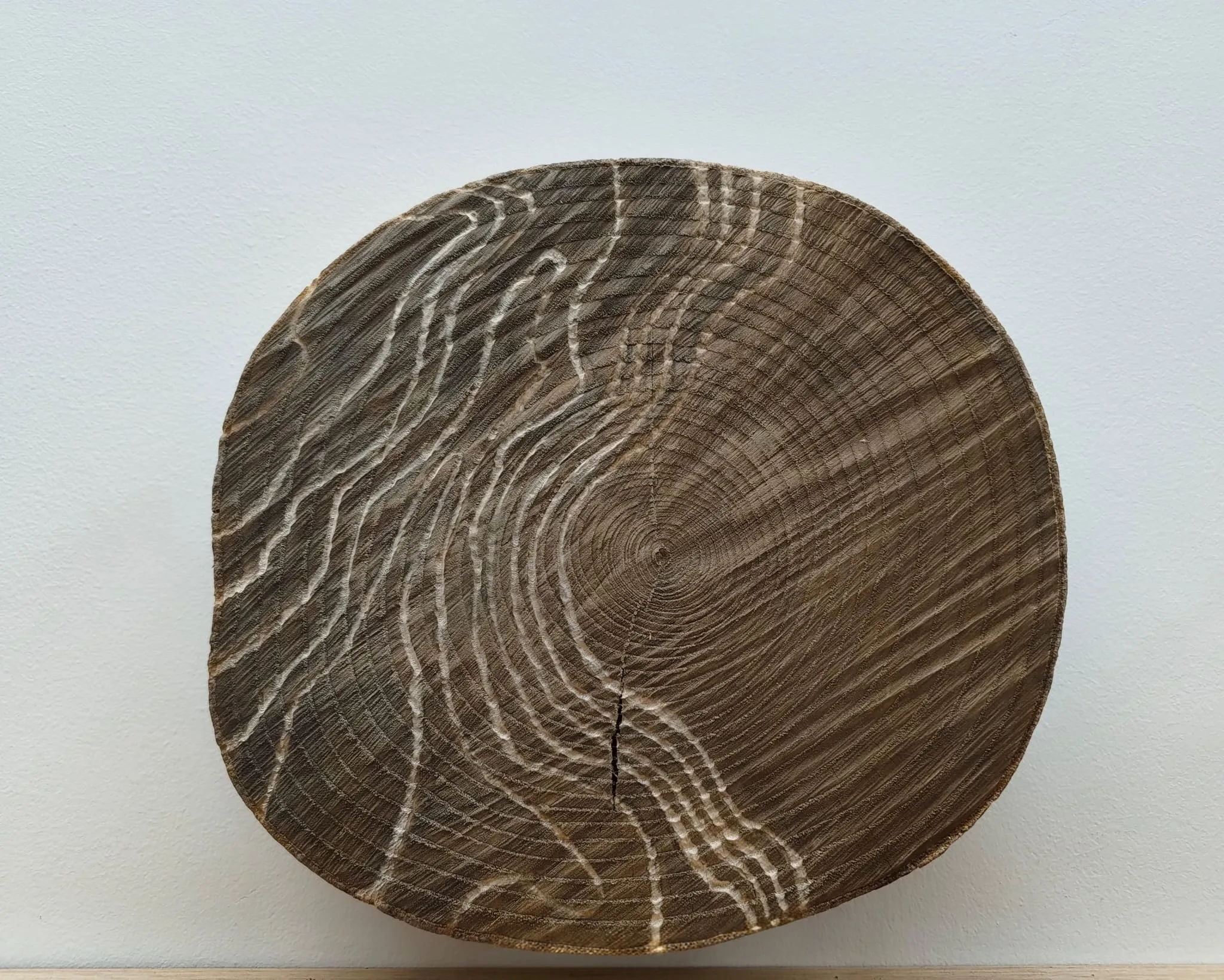 Untitled — topographic lines carved into a darkened wood disc