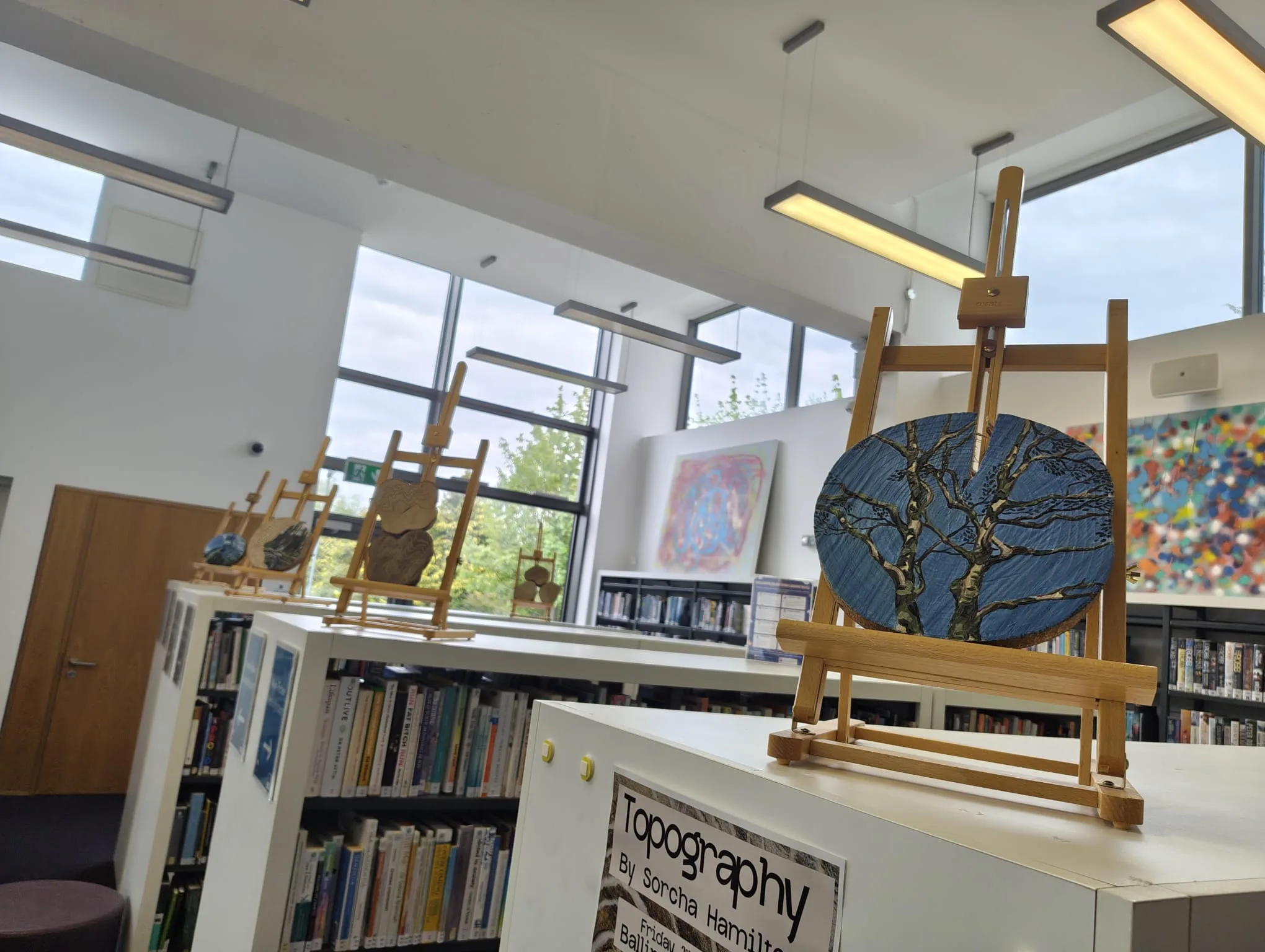 Topography exhibition installed at Ballinasloe Library